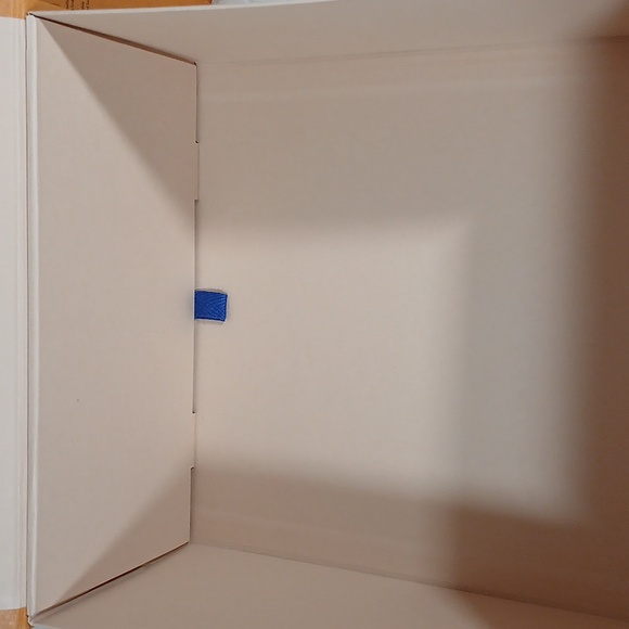 Louis Vuitton Orange Bag and Box Unisex - Picture 10 of 15